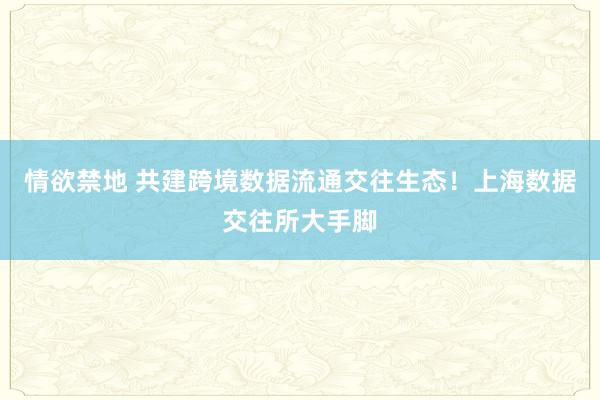 情欲禁地 共建跨境数据流通交往生态！上海数据交往所大手脚