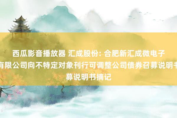 西瓜影音播放器 汇成股份: 合肥新汇成微电子股份有限公司向不特定对象刊行可调整公司债券召募说明书摘记