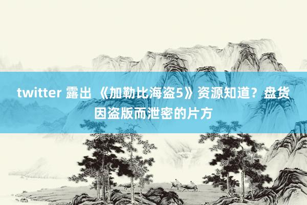 twitter 露出 《加勒比海盗5》资源知道？盘货因盗版而泄密的片方