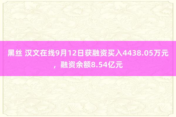 黑丝 汉文在线9月12日获融资买入4438.05万元，融资余额8.54亿元