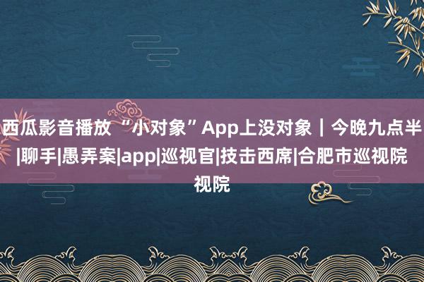 西瓜影音播放 “小对象”App上没对象｜今晚九点半|聊手|愚弄案|app|巡视官